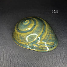 Load image into Gallery viewer, Ceramic Shells