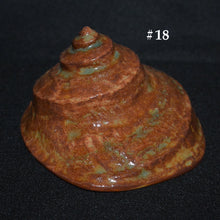 Load image into Gallery viewer, Ceramic Shells