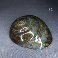 Load image into Gallery viewer, Ceramic Shells