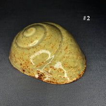 Load image into Gallery viewer, Ceramic Shells