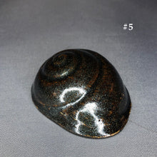 Load image into Gallery viewer, Ceramic Shells