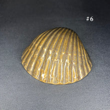 Load image into Gallery viewer, Ceramic Shells
