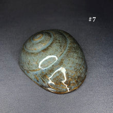 Load image into Gallery viewer, Ceramic Shells