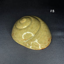 Load image into Gallery viewer, Ceramic Shells
