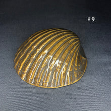 Load image into Gallery viewer, Ceramic Shells
