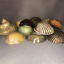Load image into Gallery viewer, Ceramic Shells