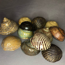 Load image into Gallery viewer, Ceramic Shells